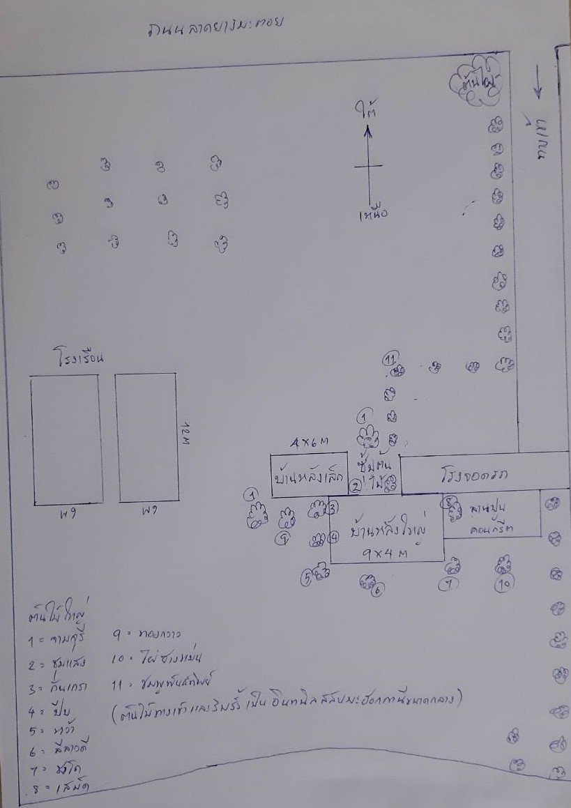 ขายสวน-พร้อมที่พัก-เฟอร์นิเจอร์-และโรงเรือน-บ้านสวนคุณไพ-จังหวัดสระบุรี-เจ้าของขายเอง