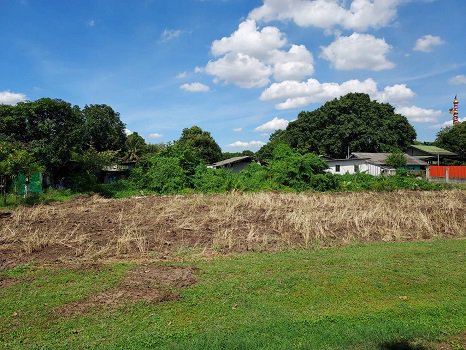 ขาย-ที่ดิน-ซอย-เพชรเกษม-63-วัดม่วง-ขนาด-525-ตรว-ใกล้-mrt-หลักสอง