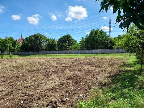 ขาย-ที่ดิน-ซอย-เพชรเกษม-63-วัดม่วง-ขนาด-525-ตรว-ใกล้-mrt-หลักสอง