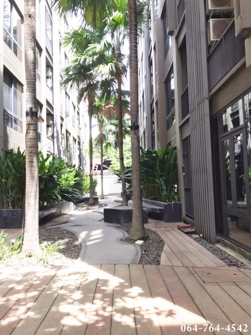 คอนโด-มือสอง-condo-the-tree-privata-คอนโด-เดอะทรี-พริวาต้า-ชั้น4-บางซื่อ-เตาปูน-บางโพ-ประชาราษฎร์-สา