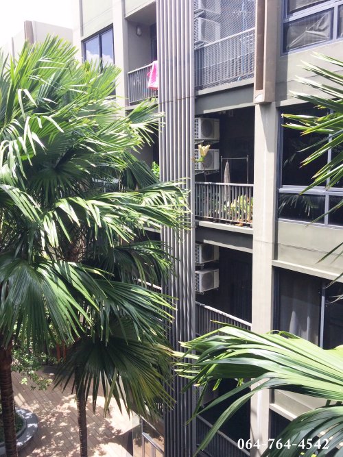 คอนโด-มือสอง-condo-the-tree-privata-คอนโด-เดอะทรี-พริวาต้า-ชั้น4-บางซื่อ-เตาปูน-บางโพ-ประชาราษฎร์-สา