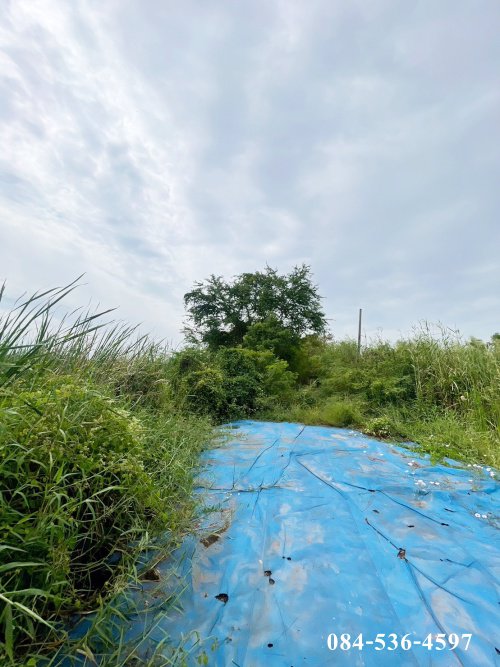 ที่ดินเปล่า-222-ตรว-หลังอนามัยนราภิรมย์-บางเลน-นครปฐม-ที่ดินจัดสรร-ยังไม่ถม