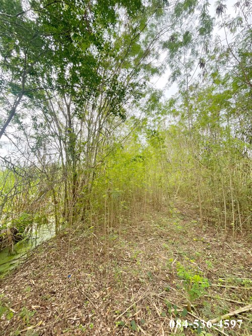 ที่ดินเปล่า-222-ตรว-หลังอนามัยนราภิรมย์-บางเลน-นครปฐม-ที่ดินจัดสรร-ยังไม่ถม