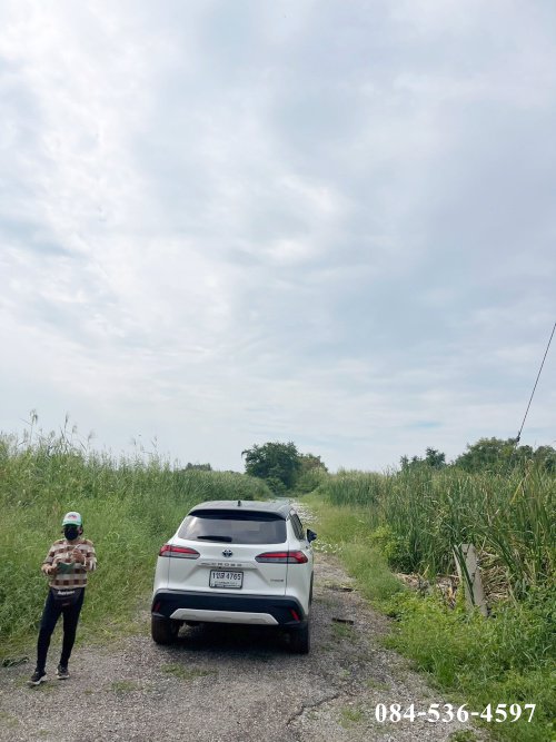 ที่ดินเปล่า-222-ตรว-หลังอนามัยนราภิรมย์-บางเลน-นครปฐม-ที่ดินจัดสรร-ยังไม่ถม