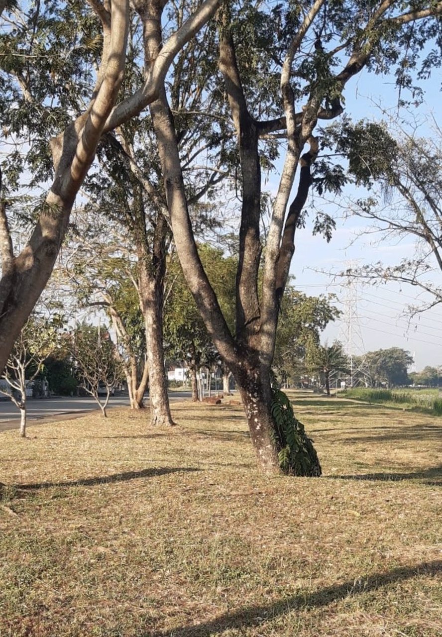 ขายที่ดินเปล่า-หมู่บ้านปัญญาเลคโฮม-98-ตารางวา-เพียง-200-เมตรจากถนิมิตใหม่