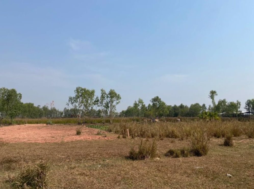 ขายที่ดินรอบๆบึงหนองคาย-เนื้อที่-127ตรว