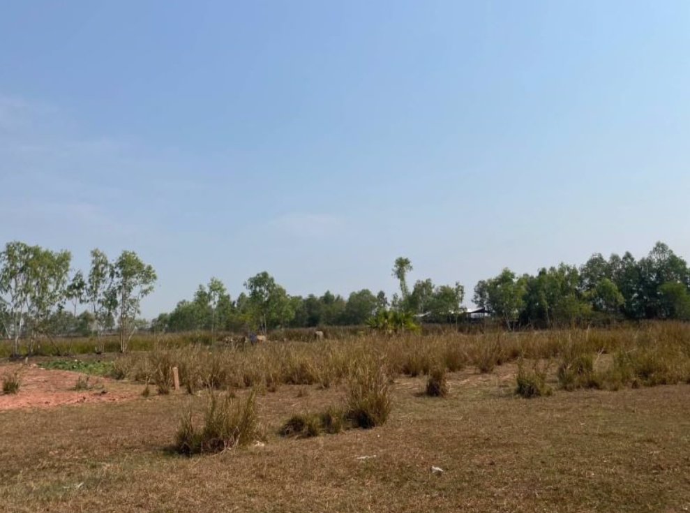 ขายที่ดินรอบๆบึงหนองคาย-เนื้อที่-127ตรว