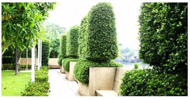 hr-3468-ให้เช่าบ้านเดี่ยว-3-ชั้น-หมู่บ้านหรูโครงการ-the-star-estate-พัฒนาการ-69