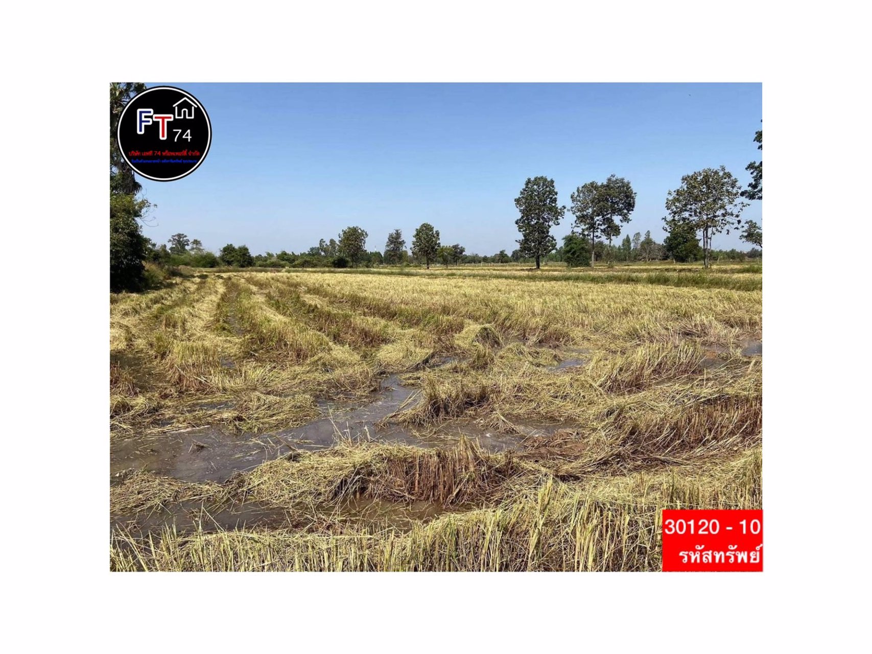 30120-10-ขาย-ที่ดินทำเลดี-ตบัวลาย-อหนองหว้า-จนครราชสีมา