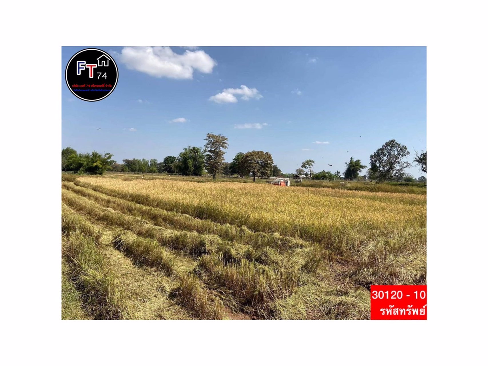 30120-10-ขาย-ที่ดินทำเลดี-ตบัวลาย-อหนองหว้า-จนครราชสีมา