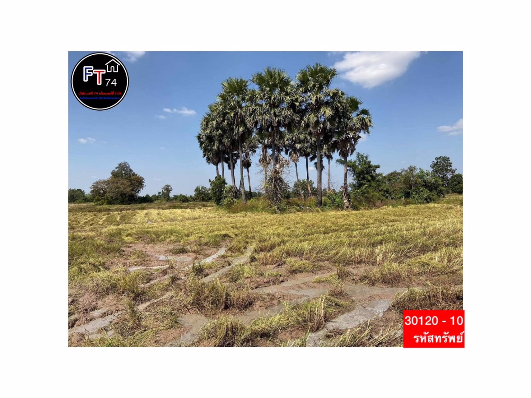 30120-10-ขาย-ที่ดินทำเลดี-ตบัวลาย-อหนองหว้า-จนครราชสีมา