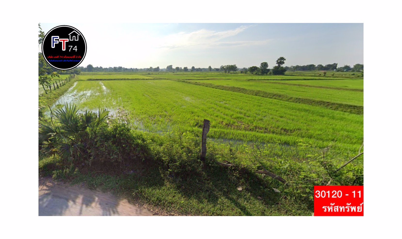 30120-11-ขาย-ที่ดินสวย-ทำเลดี-ตบัวลาย-อหนองหว้า-จนครราชสีมา