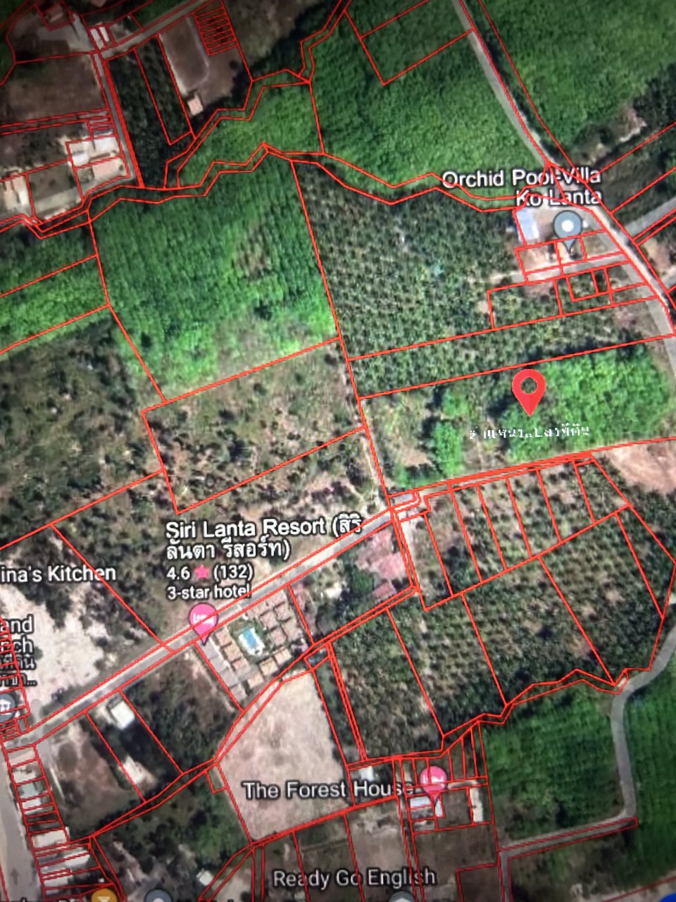 ขายที่ดินบนเกาะลันตาใหญ่-หลังสำนักงานที่ดิน-ตศาลาด่าน-ใกล้หาดพระแอะ