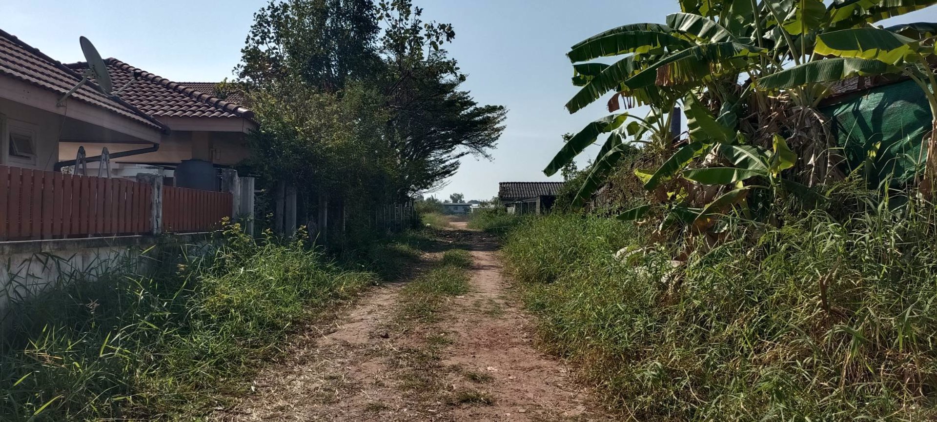 ขายที่ดินสวนมะพร้าว-389-ตารางวา-นครราชสีมา