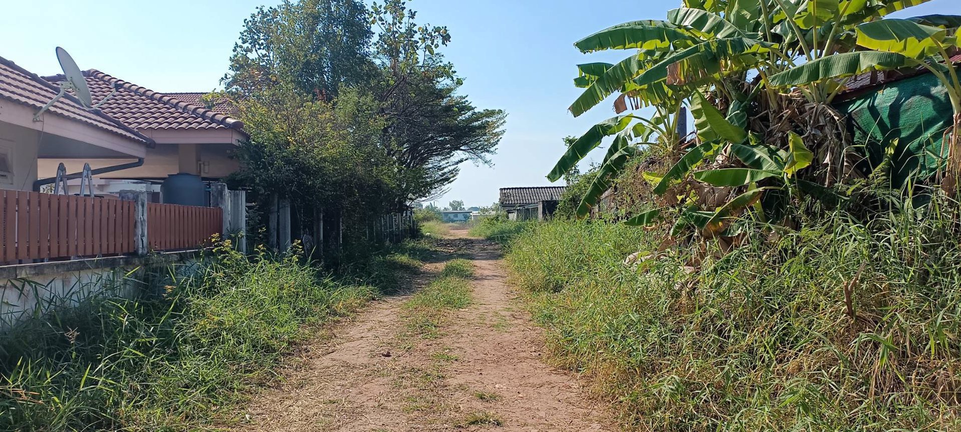 ขายที่ดินสวนมะพร้าว-389-ตารางวา-นครราชสีมา