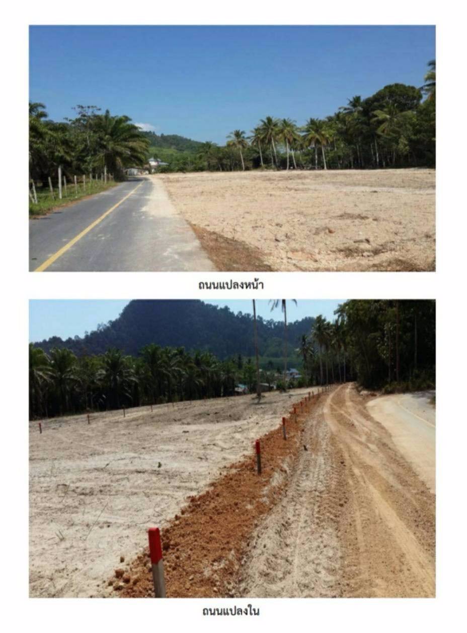 ที่ดินแบ่งล็อคขาย-สำหรับลูกค้างบน้อย-ซื้อดินสร้างบ้านกันเถอะ