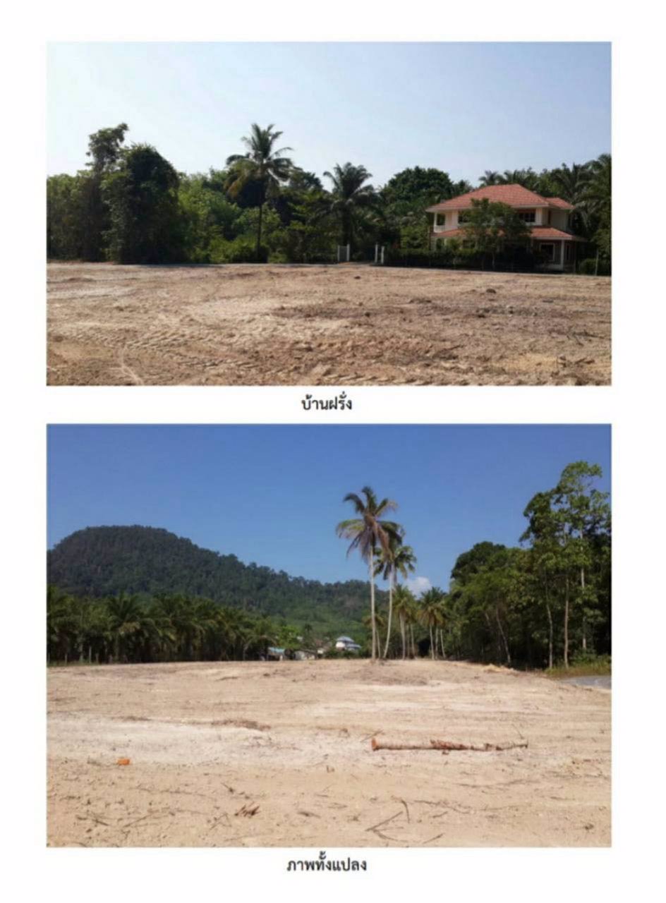 ที่ดินแบ่งล็อคขาย-สำหรับลูกค้างบน้อย-ซื้อดินสร้างบ้านกันเถอะ