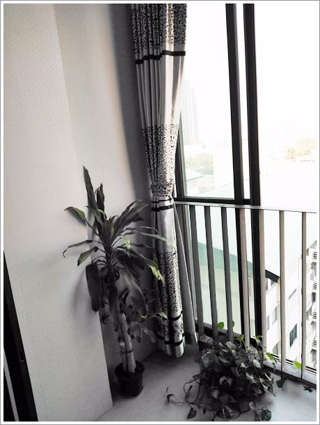 ด่วน-ให้เช่าคอนโด-ไอดิโอ-มิกซ์-สุขุมวิท103-ติดรถไฟฟ้า-อุดมสุข-ห้องแต่งสวย-เฟอร์ครบครัน-พร้อมอยู่