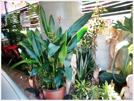 ขาย-ทาวน์โฮม-3-ชั้น-ม-นครทอง-แกรนด์วิลล์-ตกแต่ง-ต่อเติม-พร้อมอยู่-เดินทางสะดวก-ใกล้ทางด่วนกาญจนาฯ