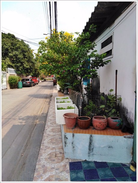 ด่วน-ขายบ้านเดี่ยว-พร้อมห้องเช่า-ใกล้กองสลาก-สนามบินน้ำ-นนทบุรี-พร้อมรับรายได้ต่อทันที