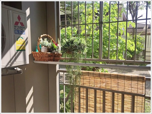 ขายถูก-คอนโด-ลุมพินี-เพลส-พระราม-8-ห้องแต่งสวย-วิวสวน-แถมเฟอร์และเครื่องใช้ไฟฟ้า-เดินทางสะดวก