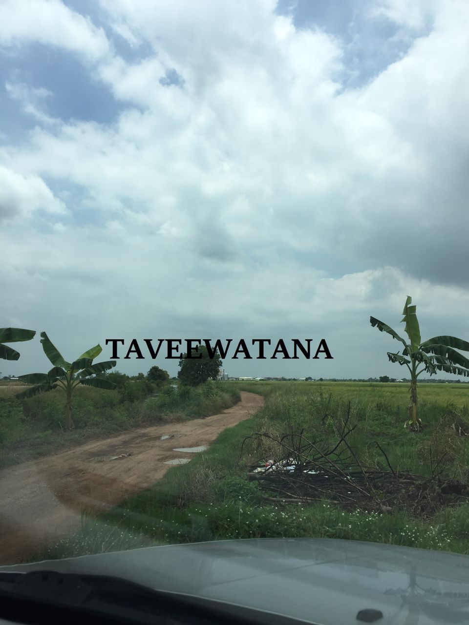 ขายที่ดินเปล่า-ที่ดินโฉนด-3-แปลง-ต-คลองหลวงแพ่ง-อเมือง-จฉะเชิงเทรา