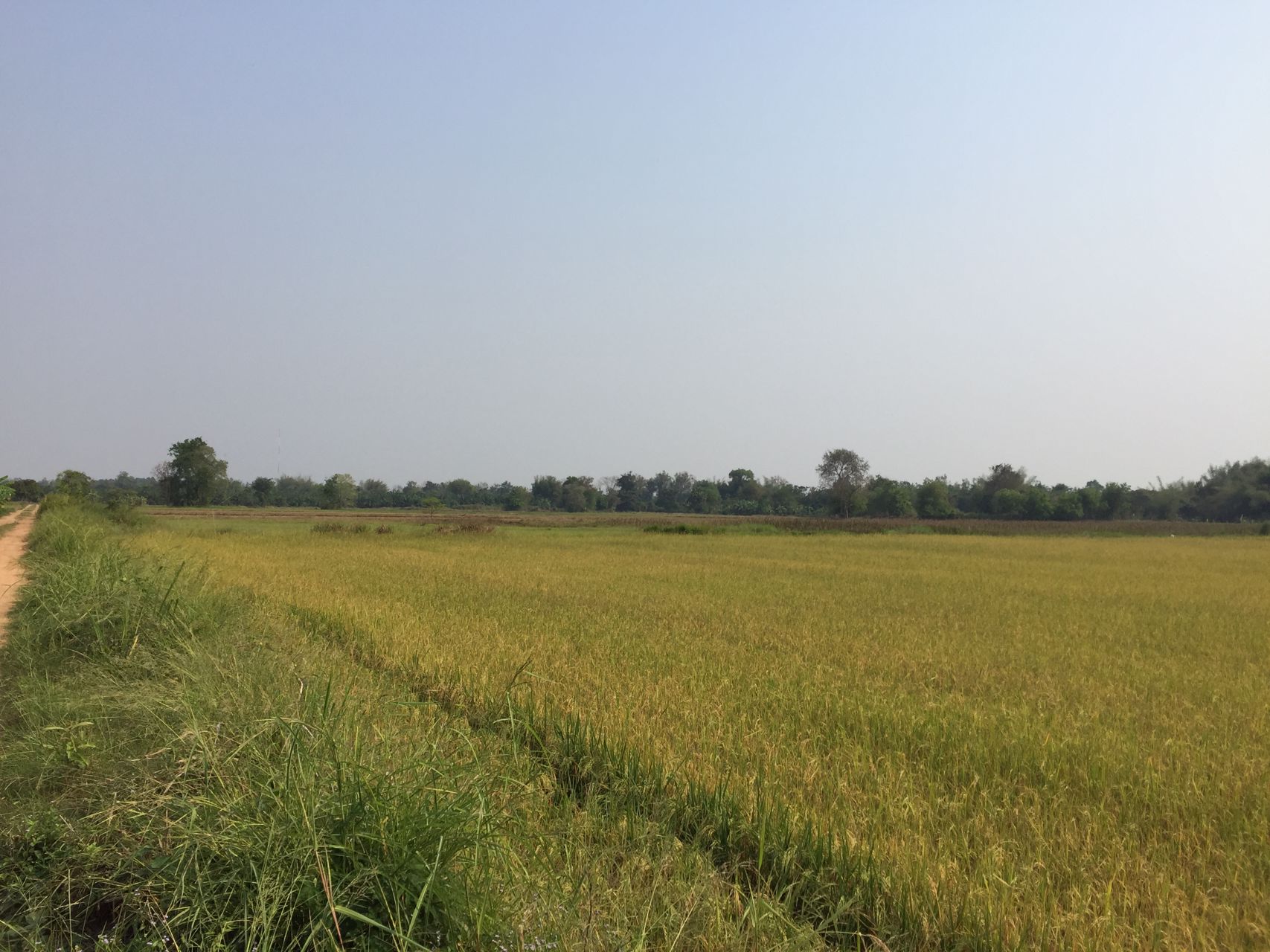 ที่ดินเปล่า-245-ไร่-ตท่าบุญมี-เกาะจันทร์-ชลบุรี