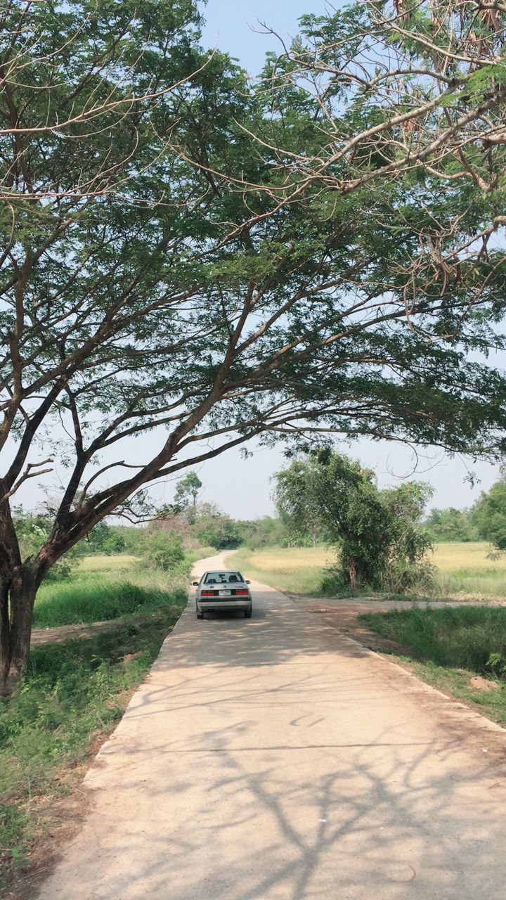 ที่ดินเปล่า-245-ไร่-ตท่าบุญมี-เกาะจันทร์-ชลบุรี