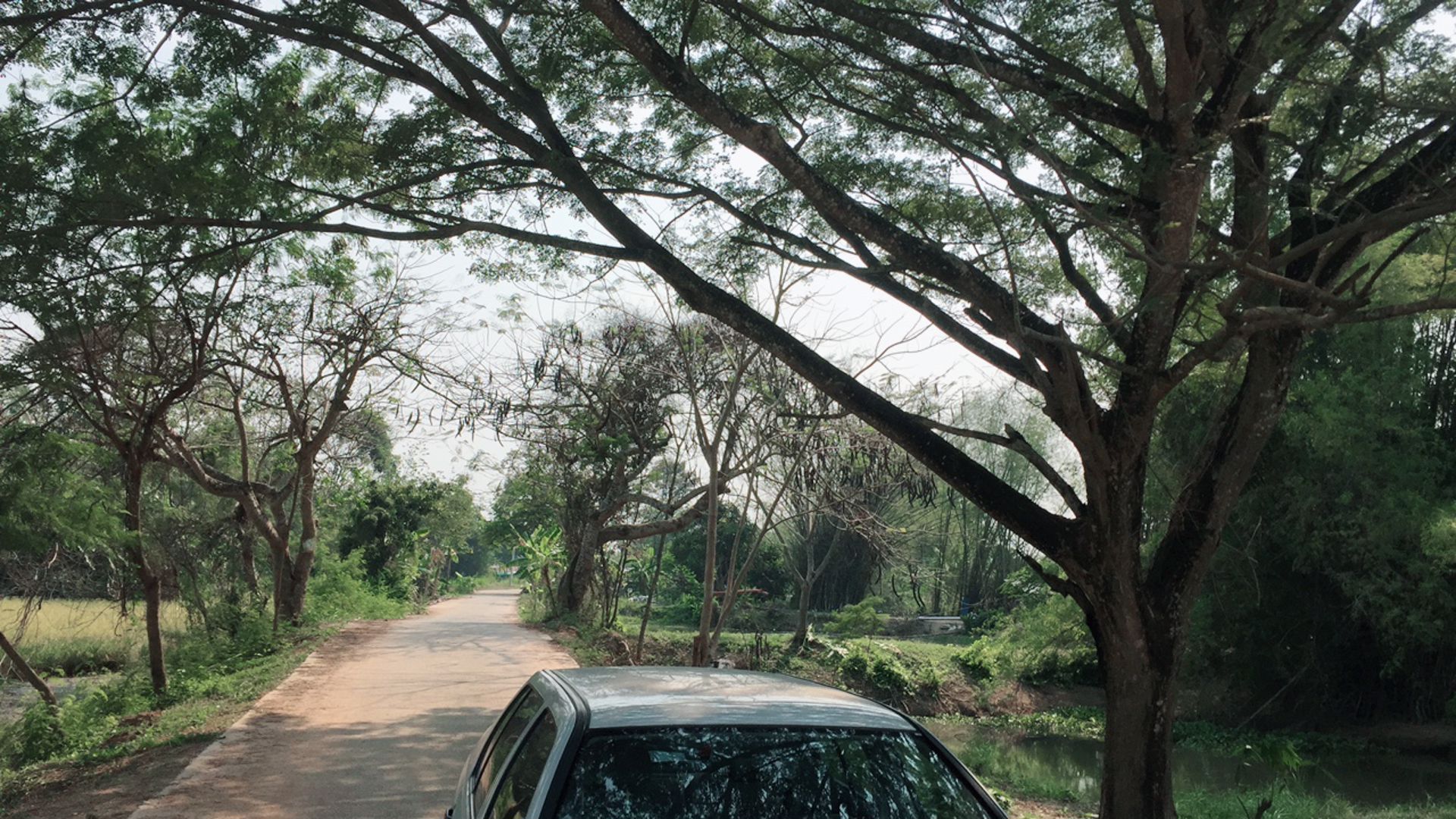 ที่ดินเปล่า-245-ไร่-ตท่าบุญมี-เกาะจันทร์-ชลบุรี