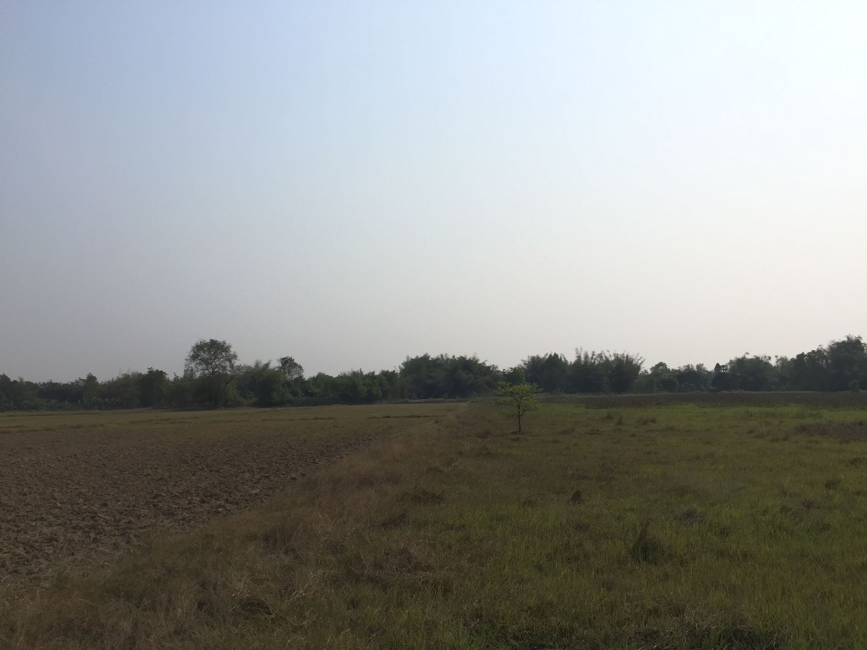 ที่ดินเปล่า-245-ไร่-ตท่าบุญมี-เกาะจันทร์-ชลบุรี