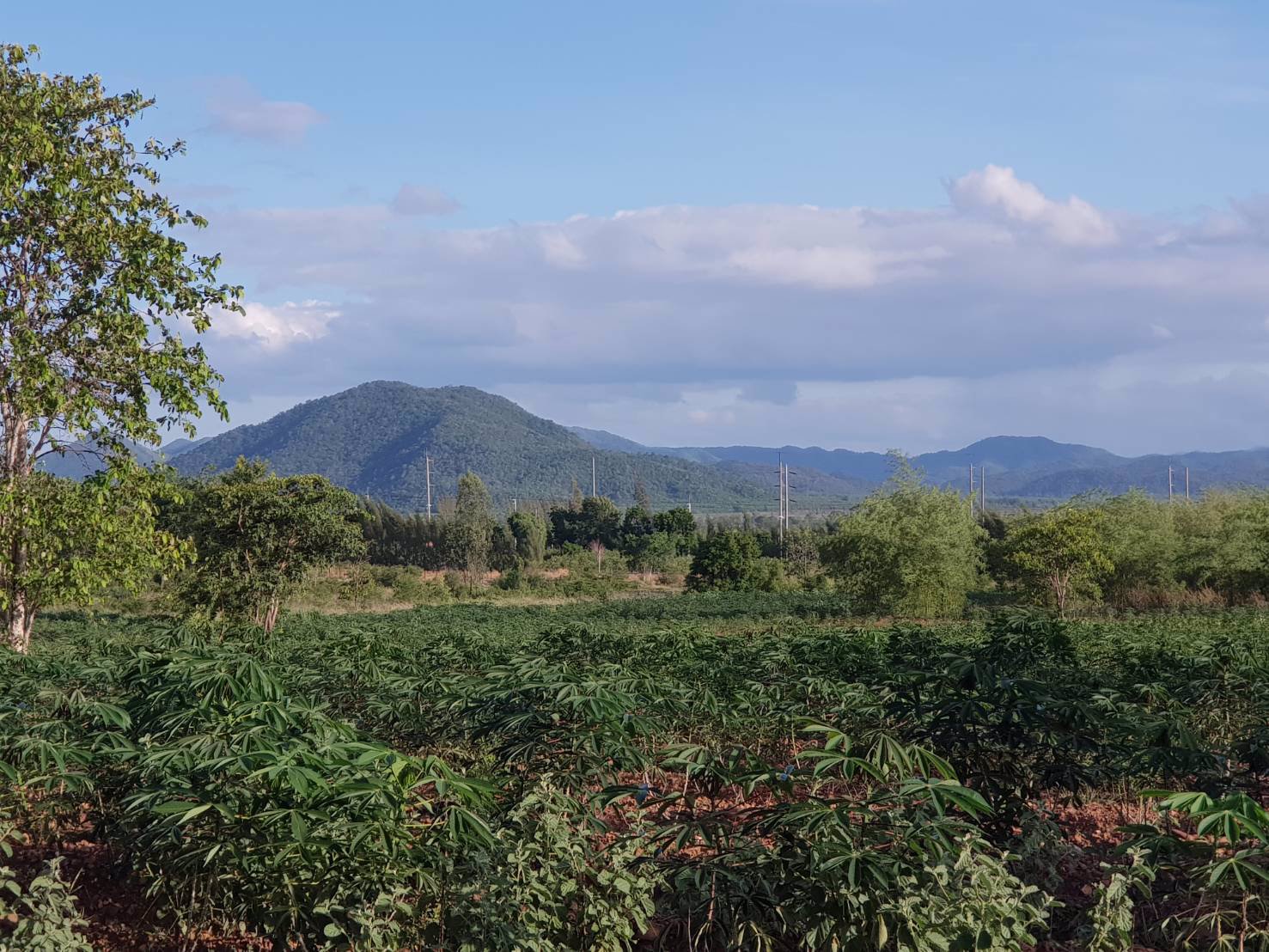 ขายด่วนบ้านพร้อมที่ดิน-64-ไร่-ตรางบัว-อจอมบึง-จราชบุรี