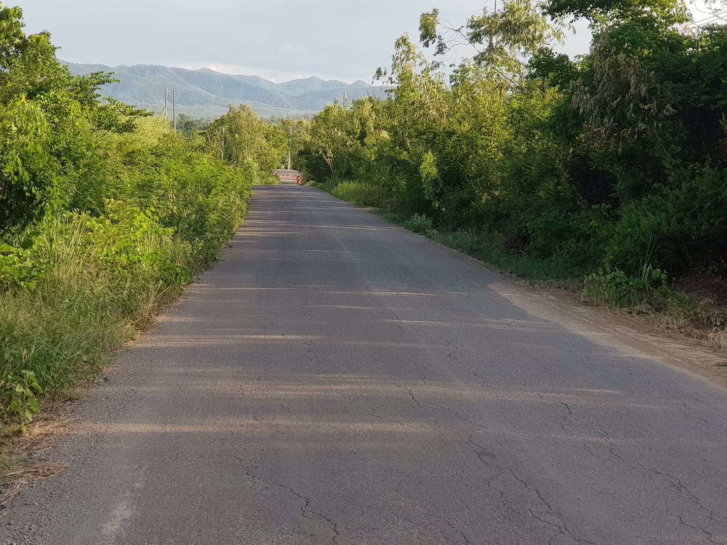 ขายด่วนบ้านพร้อมที่ดิน-64-ไร่-ตรางบัว-อจอมบึง-จราชบุรี