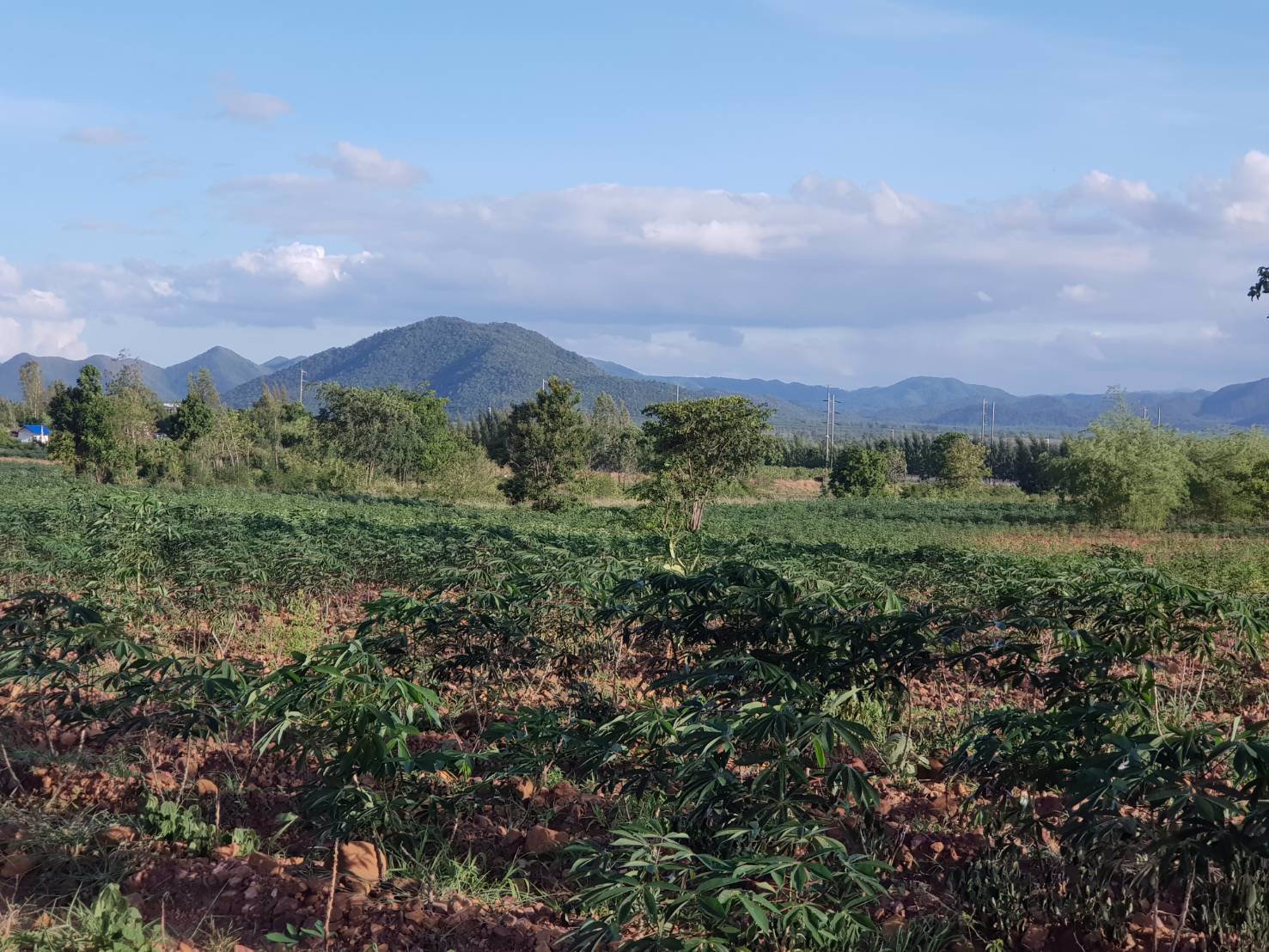 ขายด่วนบ้านพร้อมที่ดิน-64-ไร่-ตรางบัว-อจอมบึง-จราชบุรี