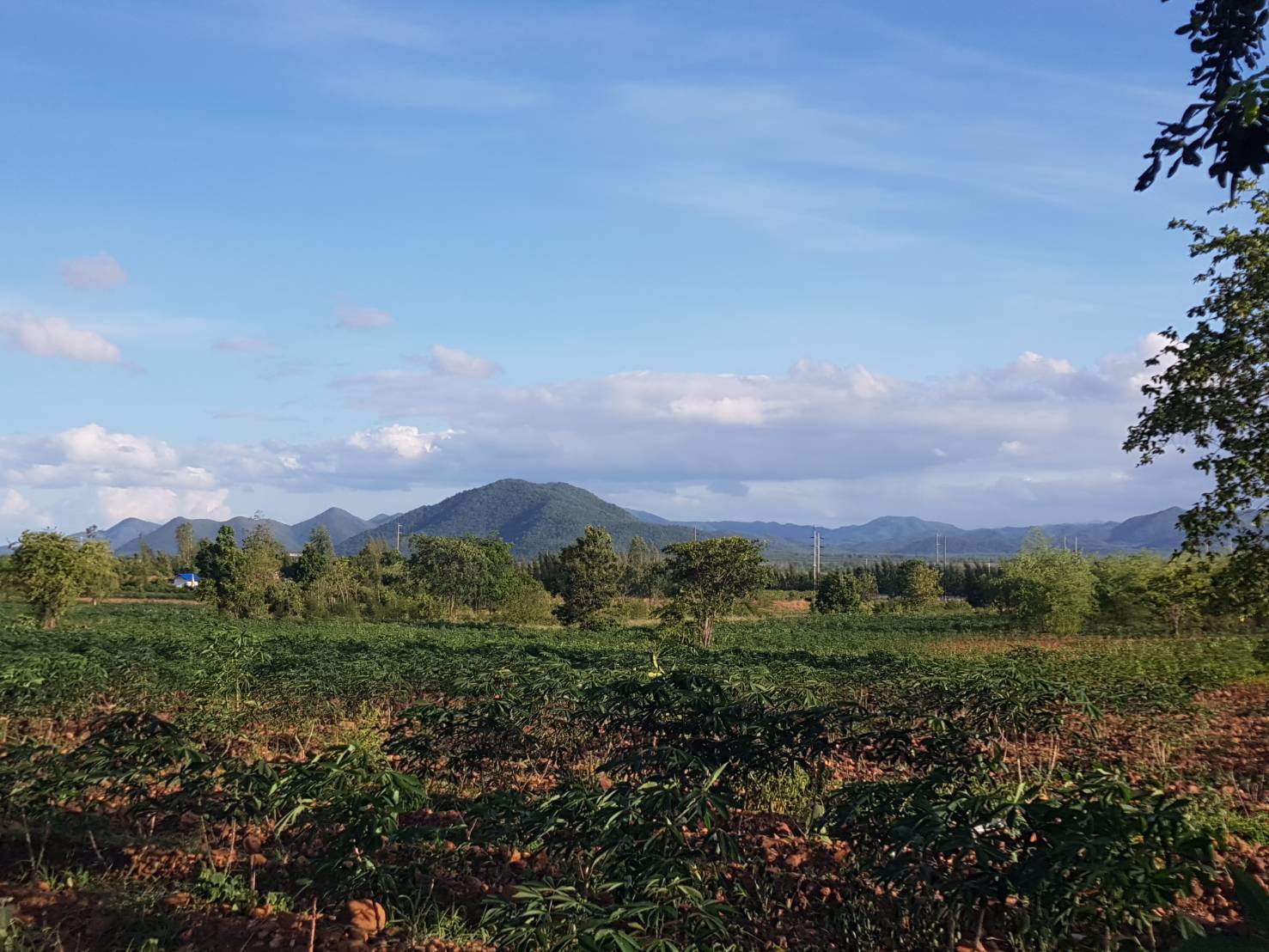 ขายด่วนบ้านพร้อมที่ดิน-64-ไร่-ตรางบัว-อจอมบึง-จราชบุรี