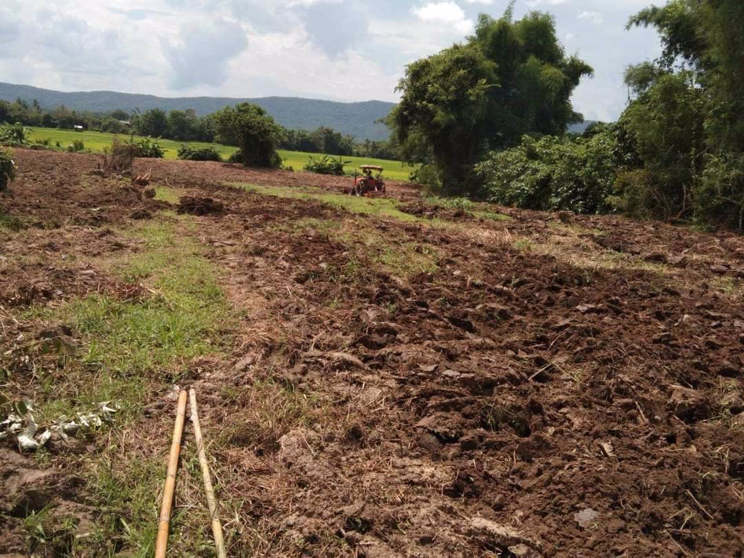 ขายด่วน-ที่โฉนด-ติดถนนทางหลวงชนบทสายบ้านใหม่เจริญมิตร-บ้านเจริญเมือง