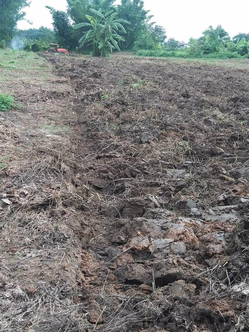 ขายด่วน-ที่โฉนด-ติดถนนทางหลวงชนบทสายบ้านใหม่เจริญมิตร-บ้านเจริญเมือง