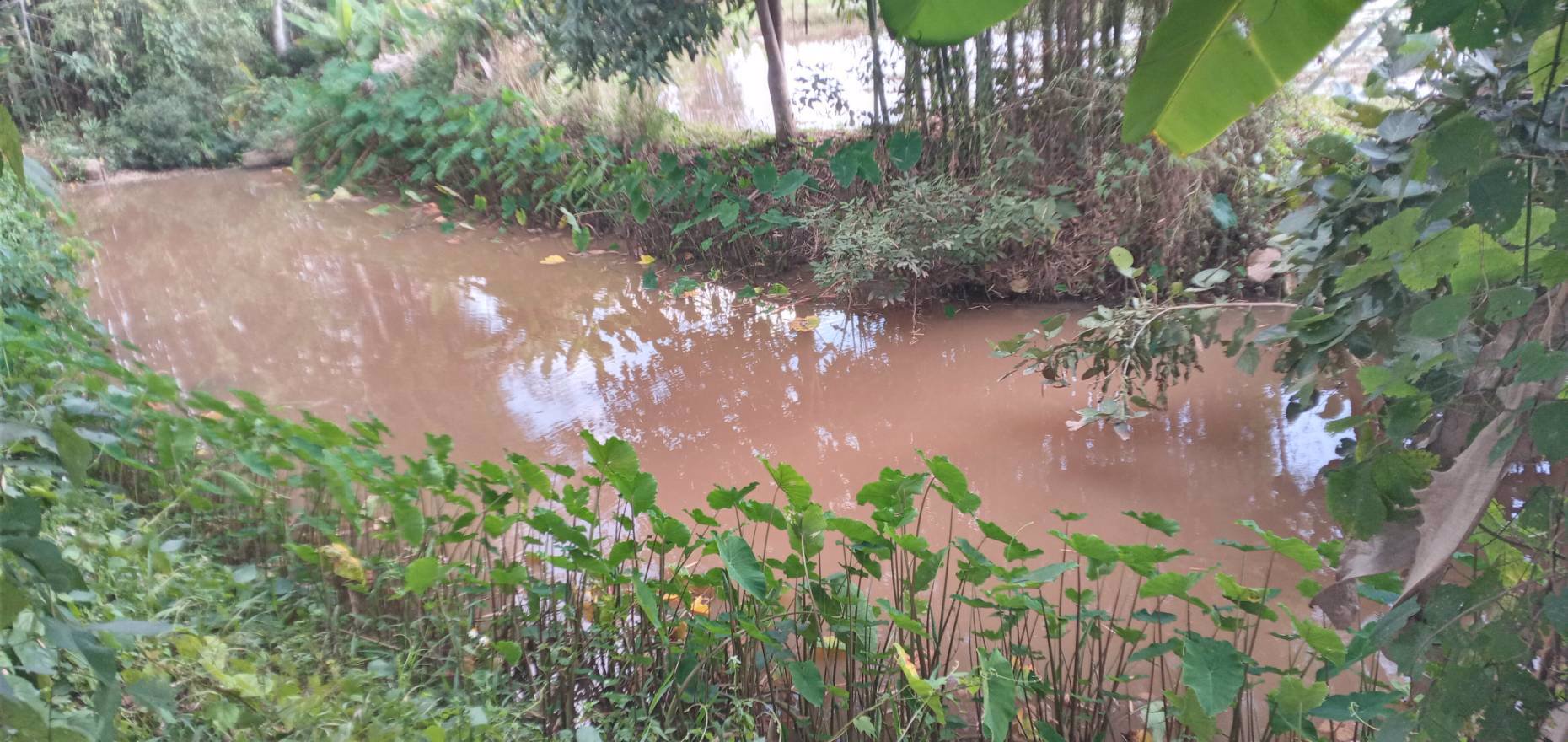 ขายด่วน-ที่โฉนด-ติดถนนทางหลวงชนบทสายบ้านใหม่เจริญมิตร-บ้านเจริญเมือง