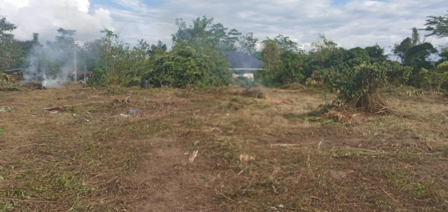 ขายด่วน-ที่โฉนด-ติดถนนทางหลวงชนบทสายบ้านใหม่เจริญมิตร-บ้านเจริญเมือง