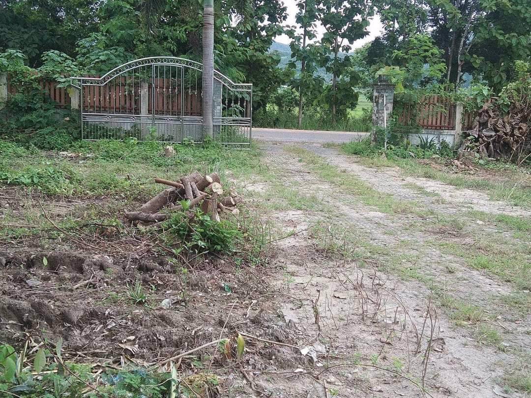 ขายด่วน-ที่โฉนด-ติดถนนทางหลวงชนบทสายบ้านใหม่เจริญมิตร-บ้านเจริญเมือง