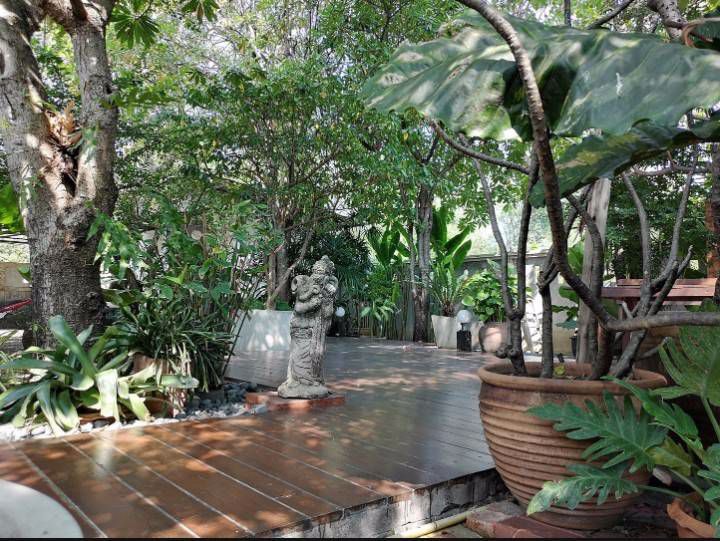 ขายที่ดิน-ลาดพร้าว71-ซอยนาคนิวาส-100-ตารางวา