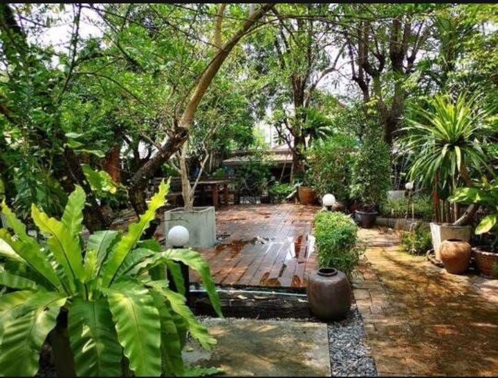 ขายที่ดิน-ลาดพร้าว71-ซอยนาคนิวาส-100-ตารางวา