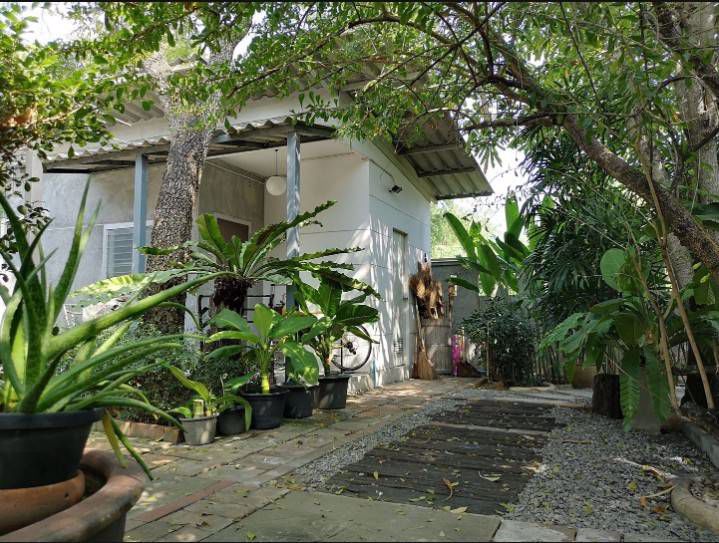 ขายที่ดิน-ลาดพร้าว71-ซอยนาคนิวาส-100-ตารางวา