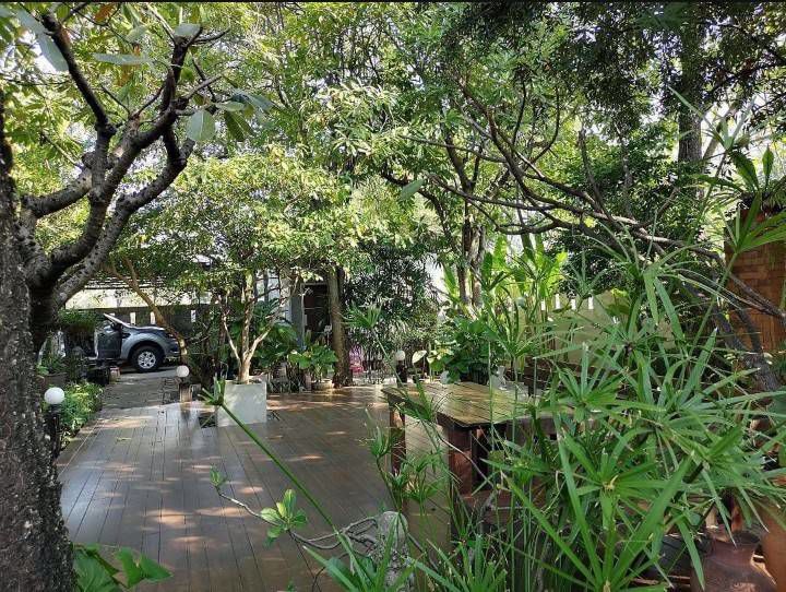 ขายที่ดิน-ลาดพร้าว71-ซอยนาคนิวาส-100-ตารางวา