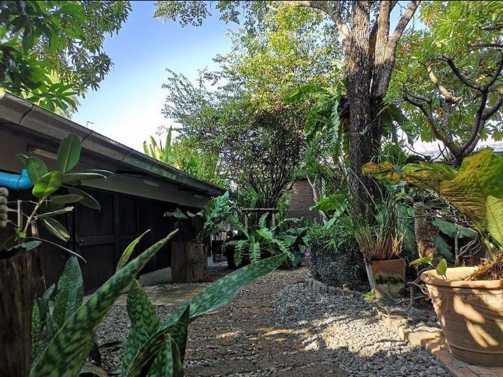 ขายที่ดิน-ลาดพร้าว71-ซอยนาคนิวาส-100-ตารางวา