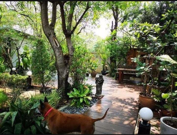 ขายที่ดิน-ลาดพร้าว71-ซอยนาคนิวาส-100-ตารางวา