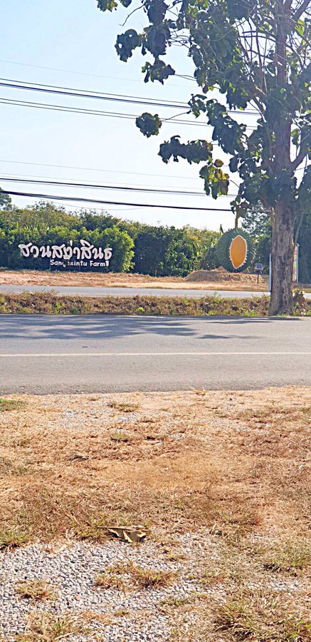 ขาย-ให้เช่าที่ดินพร้อมสิ่งปลูกสร้างประเภทโรงงานแปรรูป-ติดถนนสุขุมวิท-ทล3-กม244-อเมืองระยองจระยอง