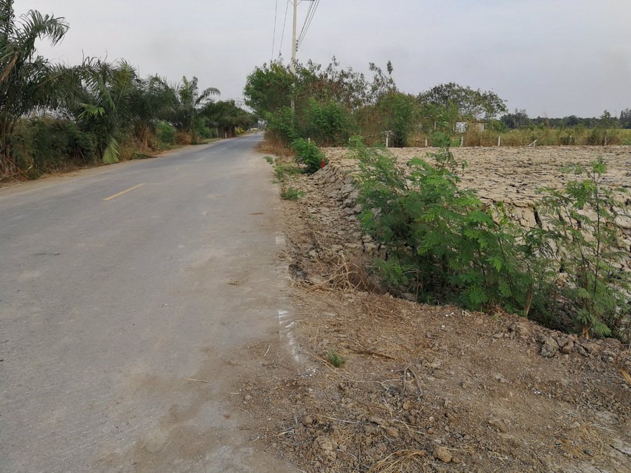 ที่ดินเปล่า-61-ตรว-ถบึงบอน51-ที่ดินเปล่าถมสวย