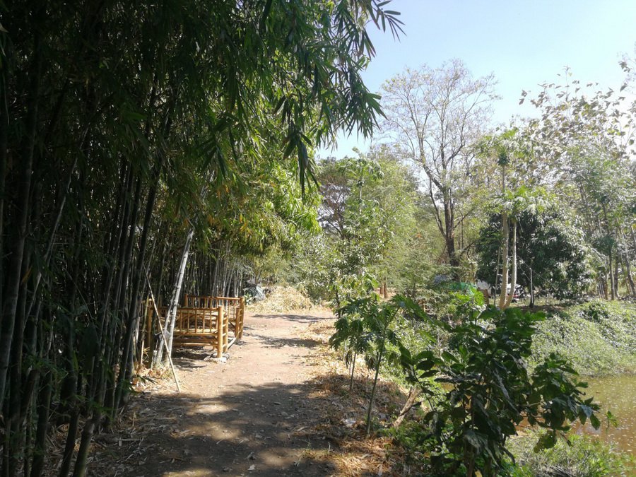 ขายบ้านเดี่ยว-3-ชั้น-ระดับ-luxury-หมู่บ้านโซลลาดพร้าว-เสนา-ถเสนา-วังหิน