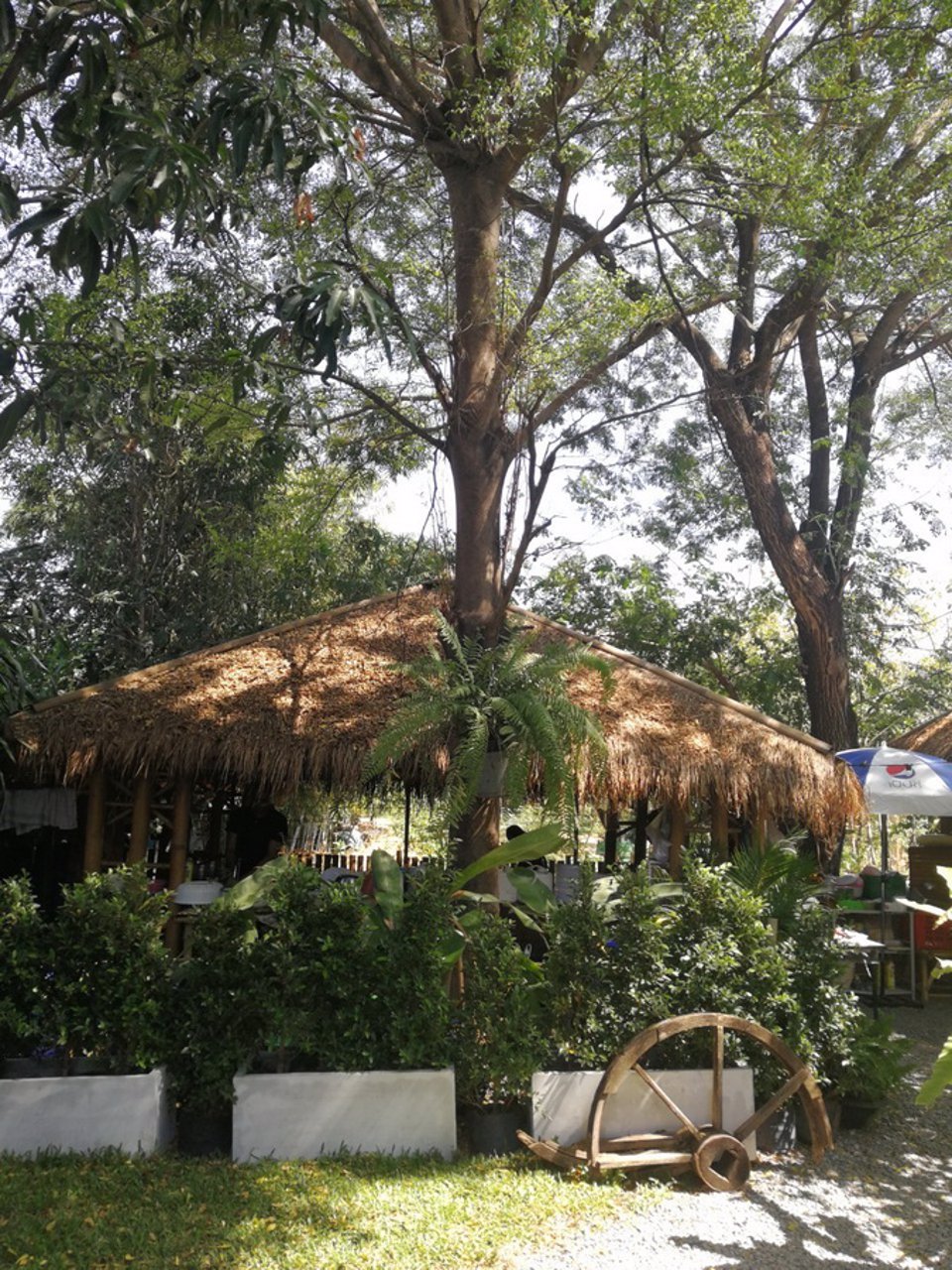 ขายบ้านเดี่ยว-3-ชั้น-ระดับ-luxury-หมู่บ้านโซลลาดพร้าว-เสนา-ถเสนา-วังหิน