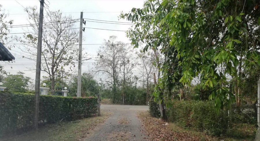 ขายที่ดินเปล่า-2-ไร่-ตบ้านกล้วย-อชนแดน-จเพชรบูรณ์